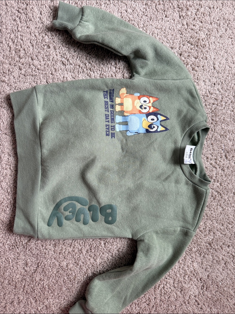 Bluey Olive Green Crewneck Sweatshirt for Kids - Character Pullover